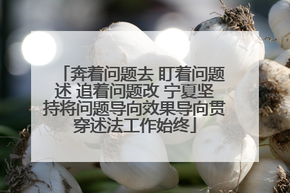奔着问题去 盯着问题述 追着问题改 宁夏坚持将问题导向效果导向贯穿述法工作始终